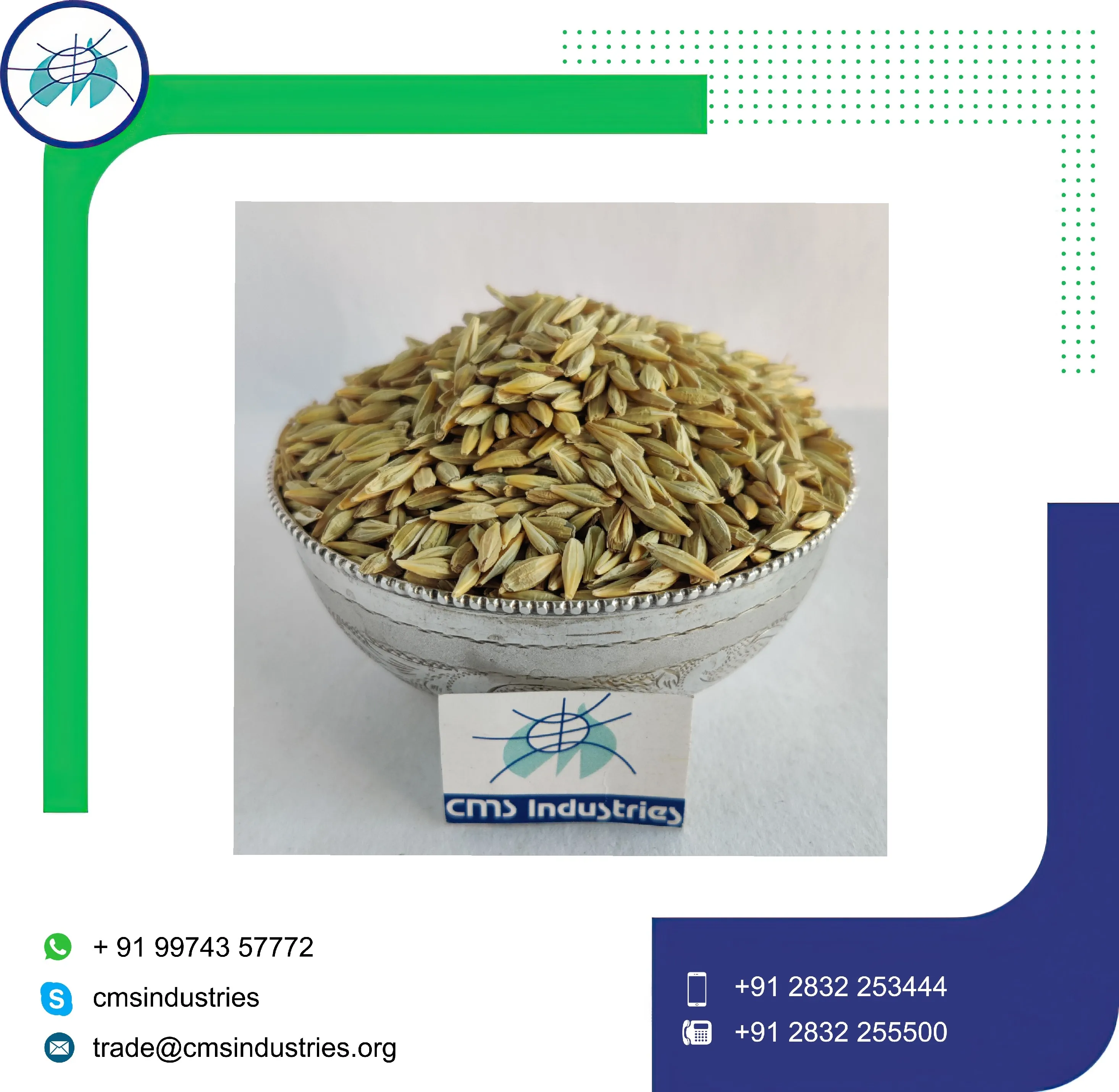 Indian Grown Pure Barley