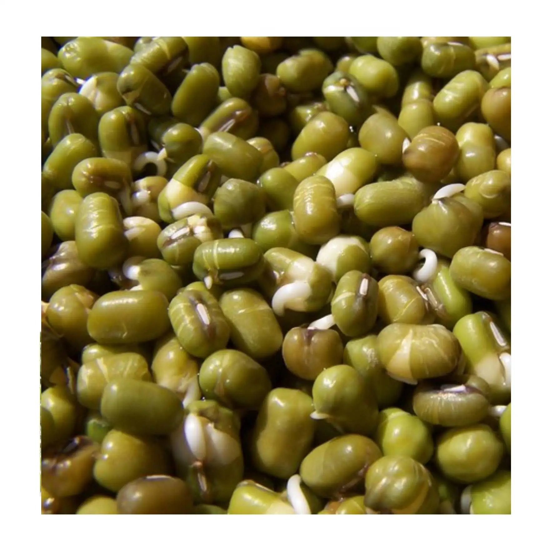 Зеленые бобы мунг, рыночная цена