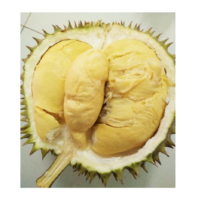 
VIETNAMESE BEST QUALITY DURIAN FRUIT 2020 - Fresh Durian / Dry Durian / Durian Frozen at Competitive Price 