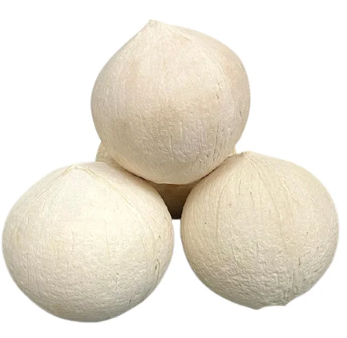 Fresh Young Aroma Coconut for wholesale price