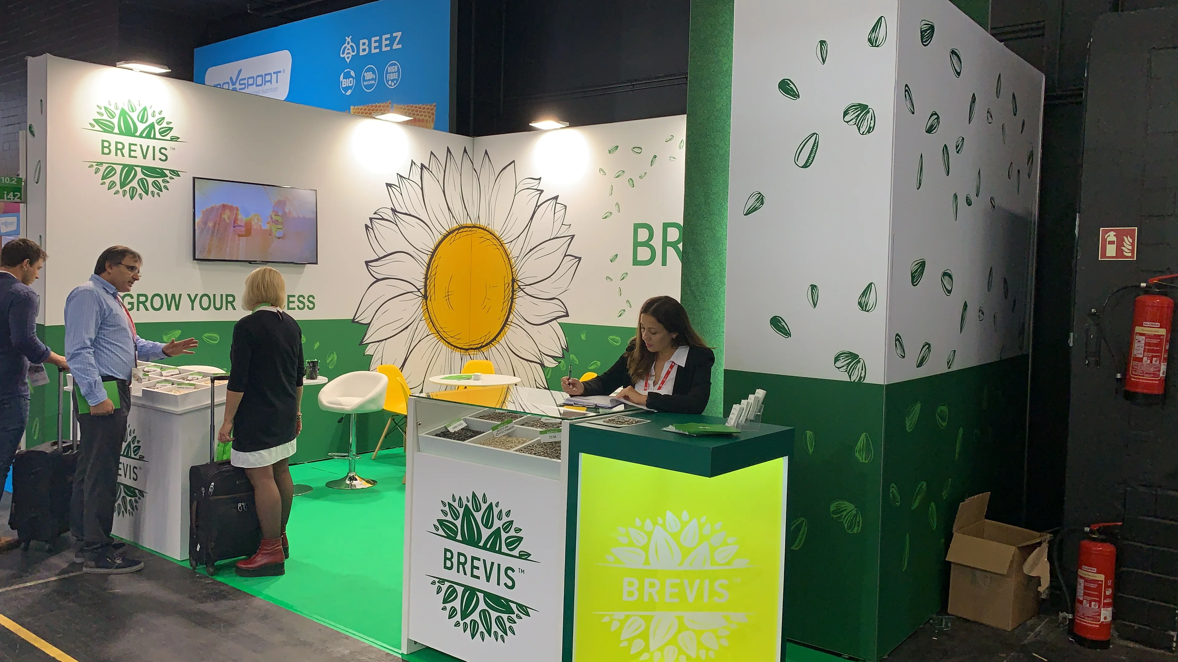 Top Grade Pumpkin Seeds Kernels Natural Roasted Pumpkin Seeds Raw Bulgarian Origin Top Quality New Crop Packaging Snacks