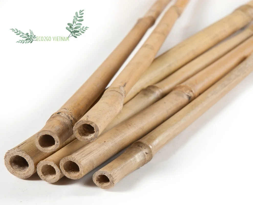 Wholesale Cheapest Price 2024 Bamboo Stakes / Bamboo Canes/ Bamboo Stake Gardening Tonkin High Quality Made in Eco2go Vietnam