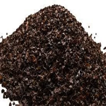 Высококачественные зерна семян гречихи