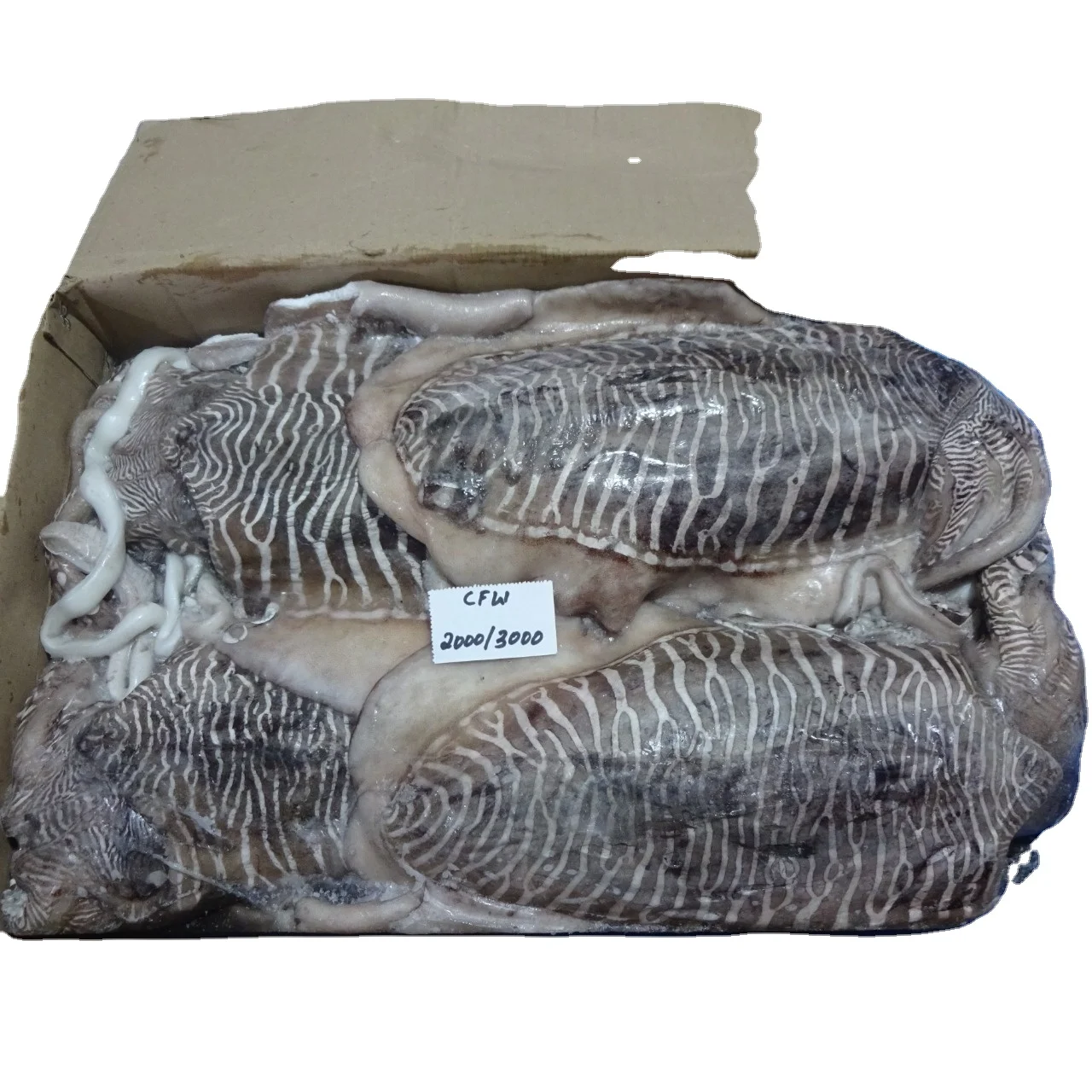 Замороженная морская рыба высокого качества