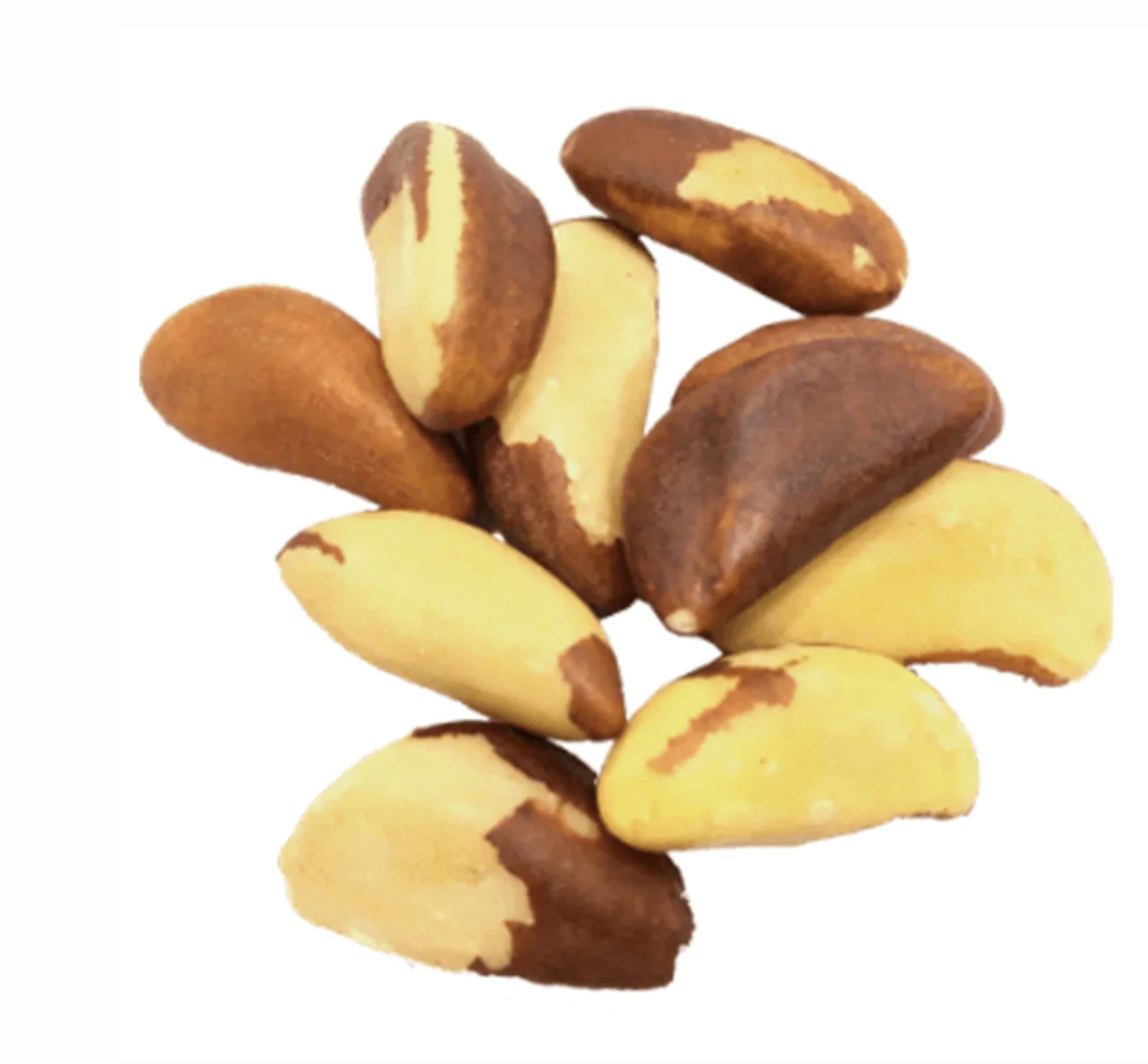 Clean Organic Whole Brazil Nuts for Sale
