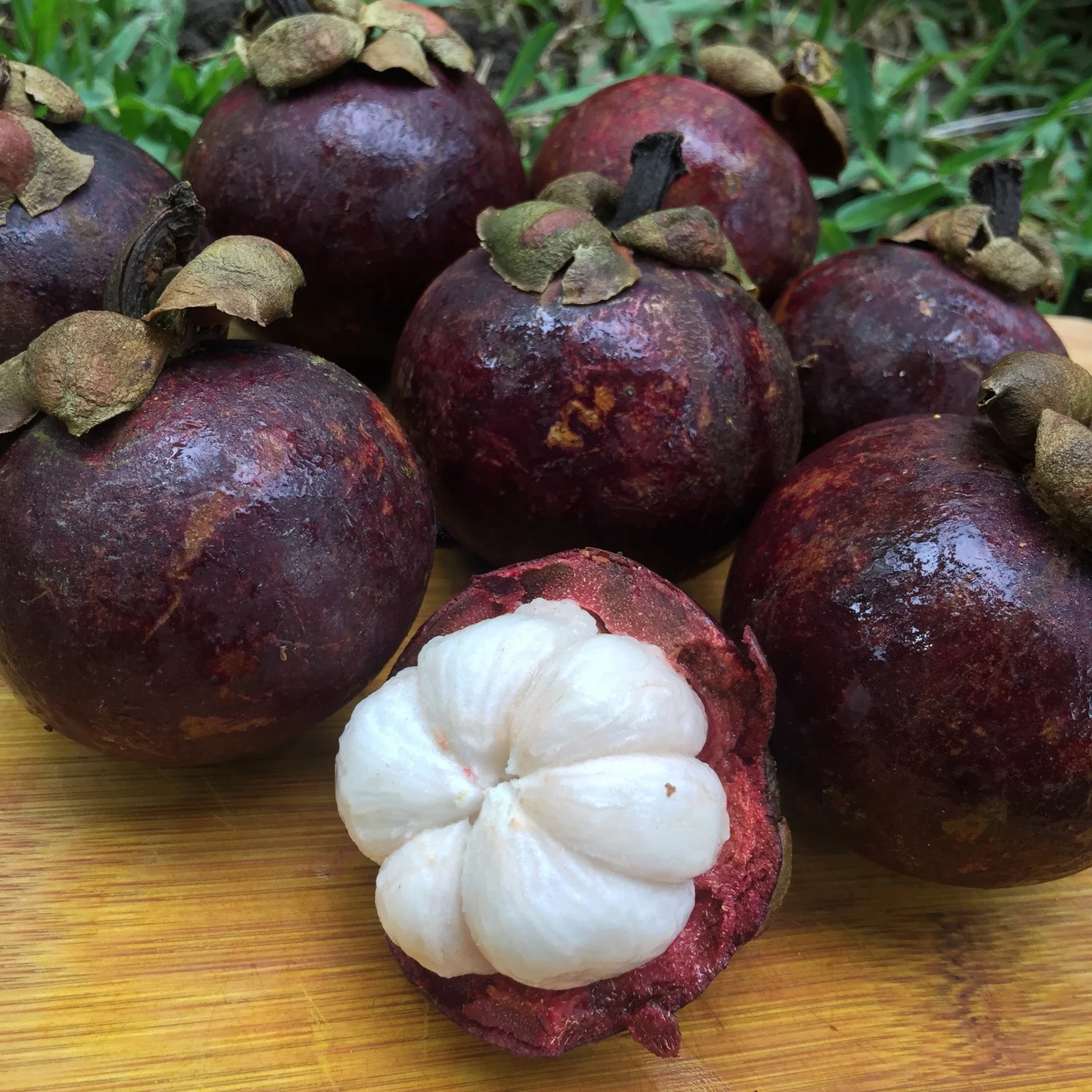 best quality mangosteen fruits for sale at cheap price