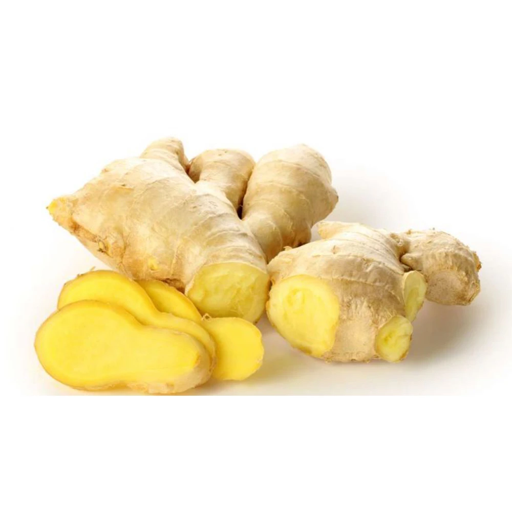 Bulk Fresh Ginger Suppliers Export Vietnam Ginger For Sale