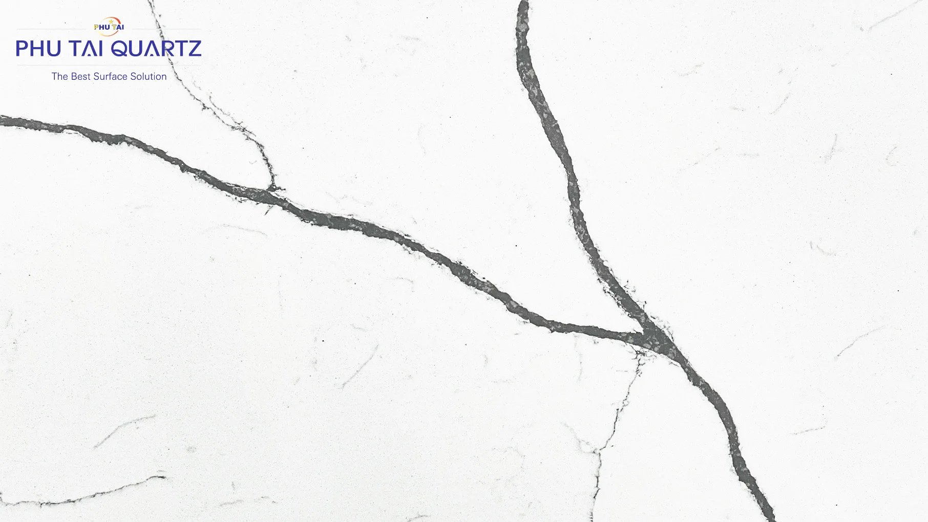 Phutai High Quality Quartz Macaraibo PT 630 Slab Polished Calacatta Stone for Modern Kitchen and Table Countertops
