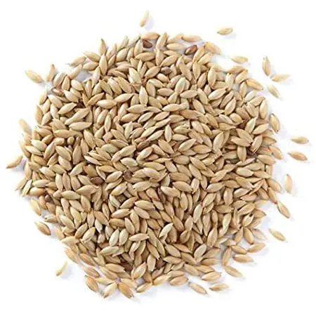 
packets red millet seed 