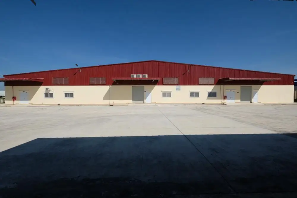 Vietnam Dried Vegetable Products/ Dehydrated Basil Factory/ ( +84989322607