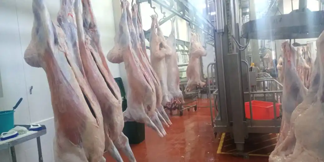 
The great taste Halal Lamb meat from Kazakhland Fresh/chilled 