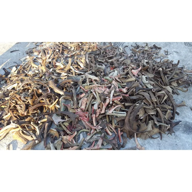 Red Deer Antlers Cow  horn / Ox Horn