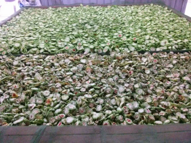 
Bitter Melon/ Bitter Gourd / Karela from Vietnam super cheap price 