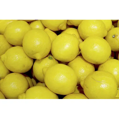 Lemon vegetables citrus fruit organic lemon whole sale price fresh lemon