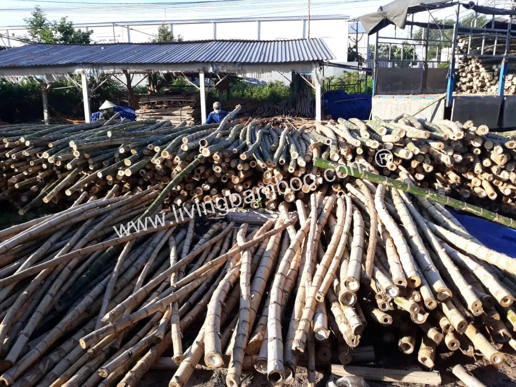 PAINTED BAMBOO POLE - BAMBOO MATERIAL - BAMBOO CONSTRUCTION