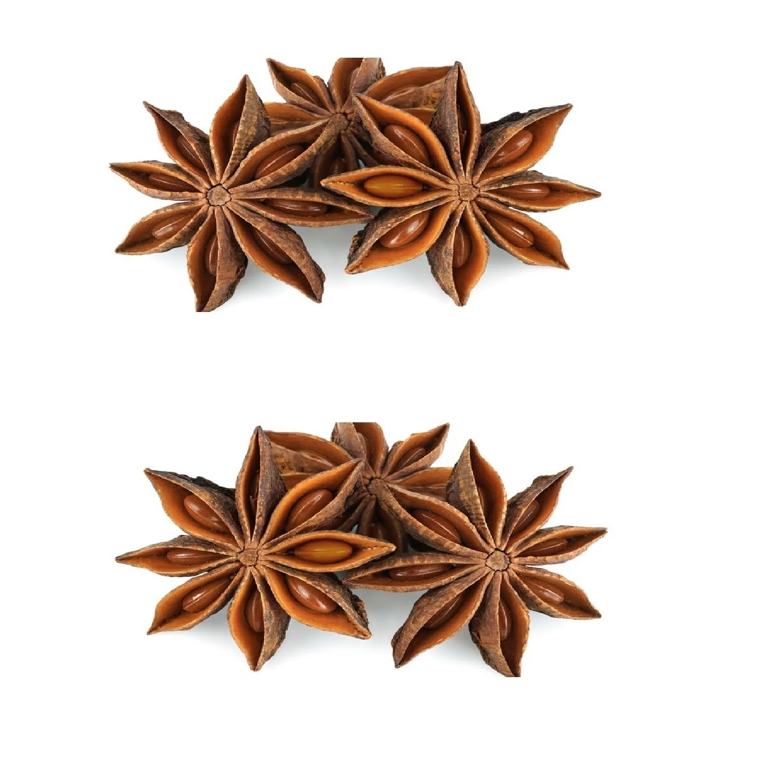 Bulk Selling Natural Brown Dried Style Raw Processing Whole Star Anise Collected for Craft Highest Quality