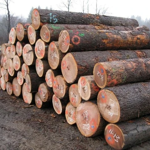 PINE SPRUCE BIRCH OAK ASH LOGS/TIMBER and eucalyptus timber wood logs/crude wood