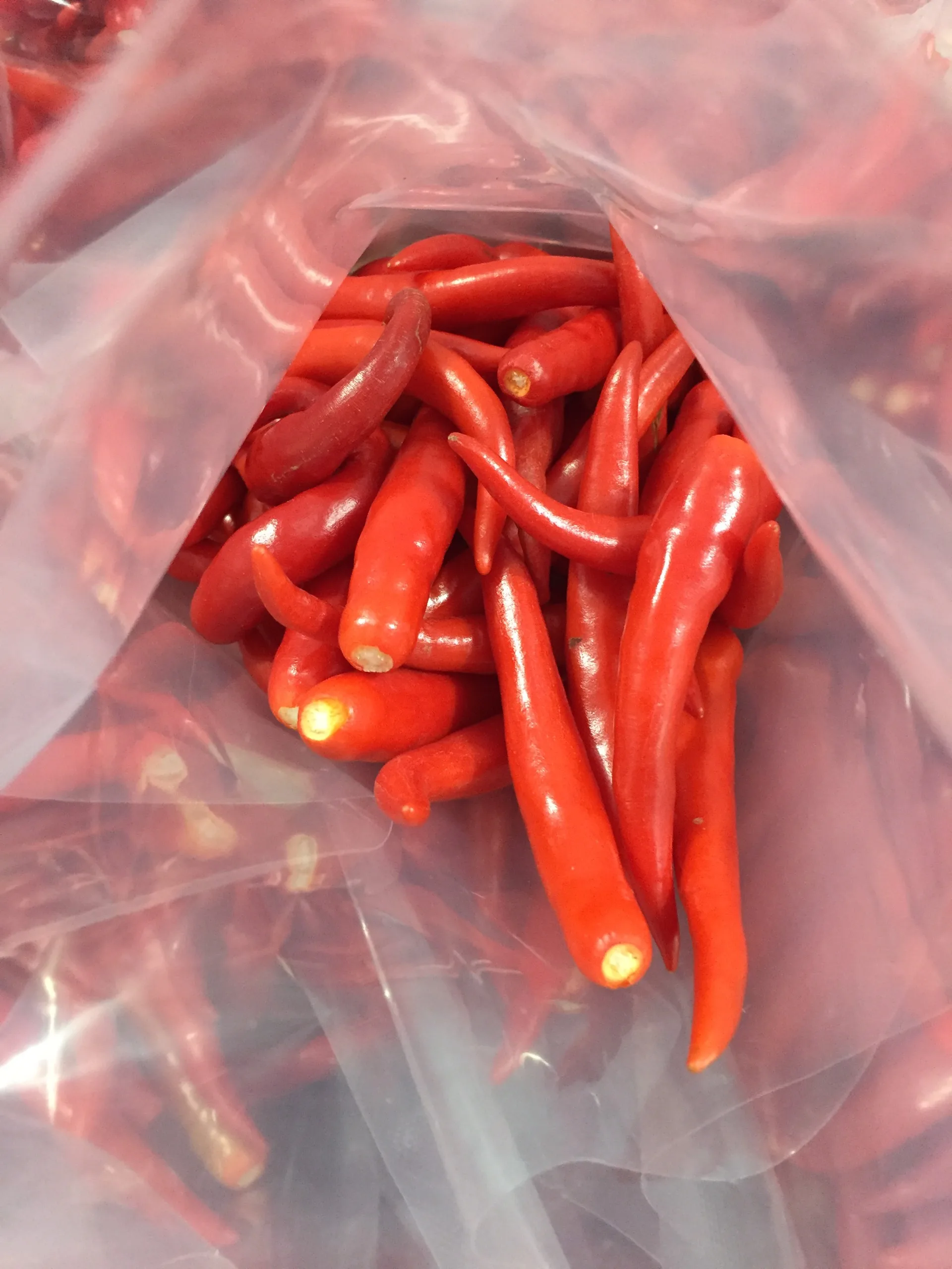 
Fresh chili pepper from Vietnam 