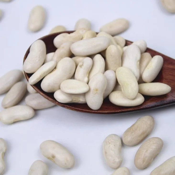 White Kidney Beans