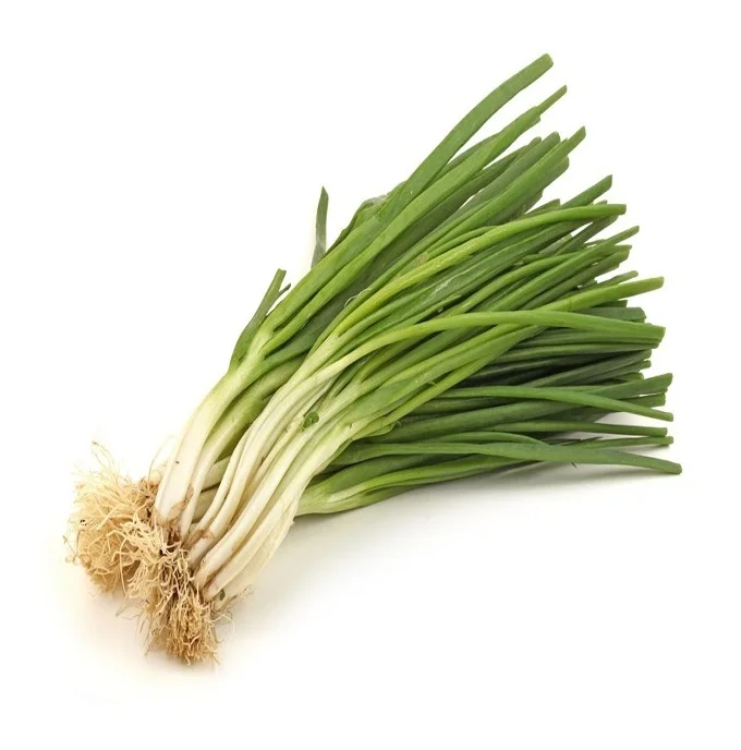 
Best Wholesale Dealer Of Fresh Vegetables Scallions available Here Fresh Stock In bulk 