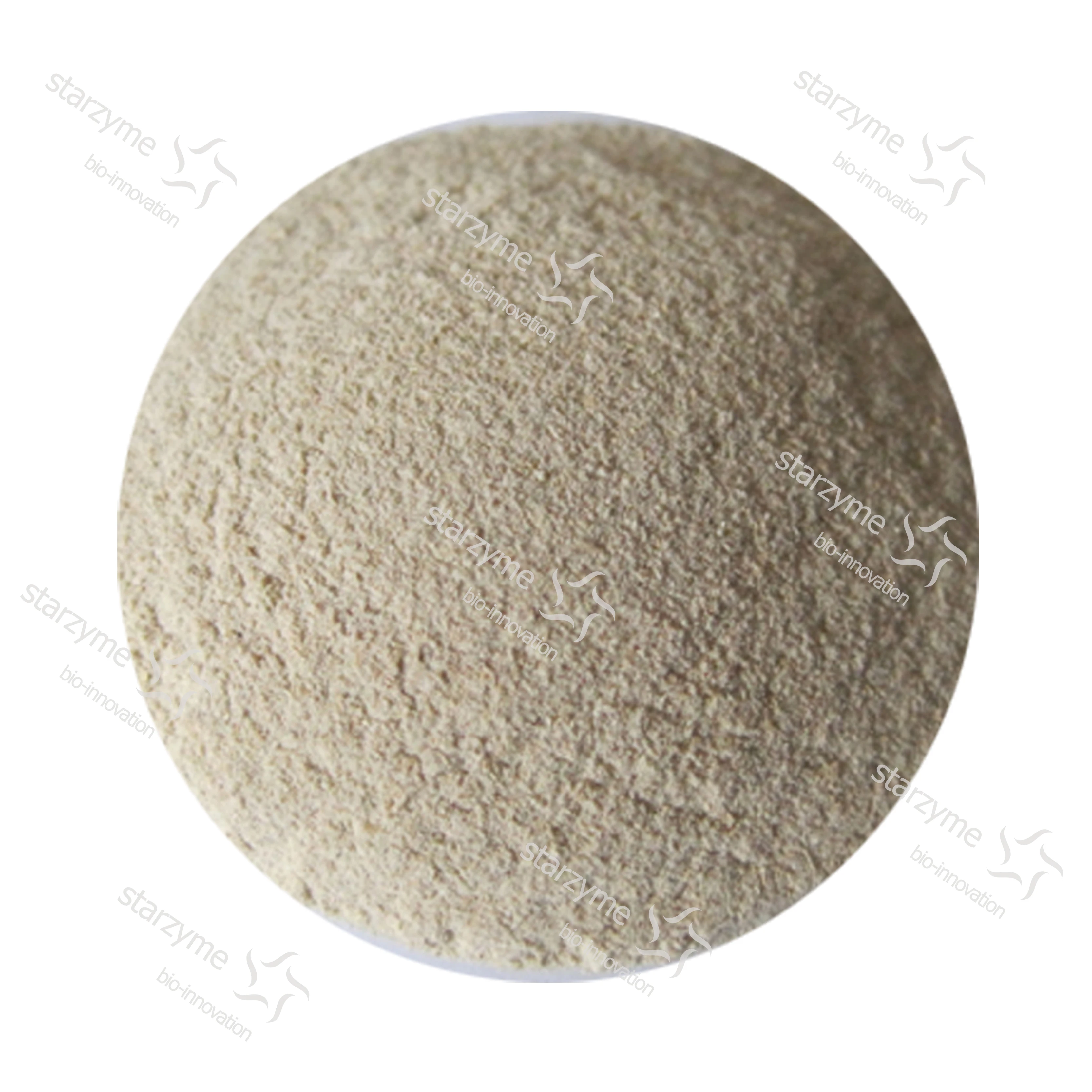 
Fungal Alpha Amylase Enzyme Factory 