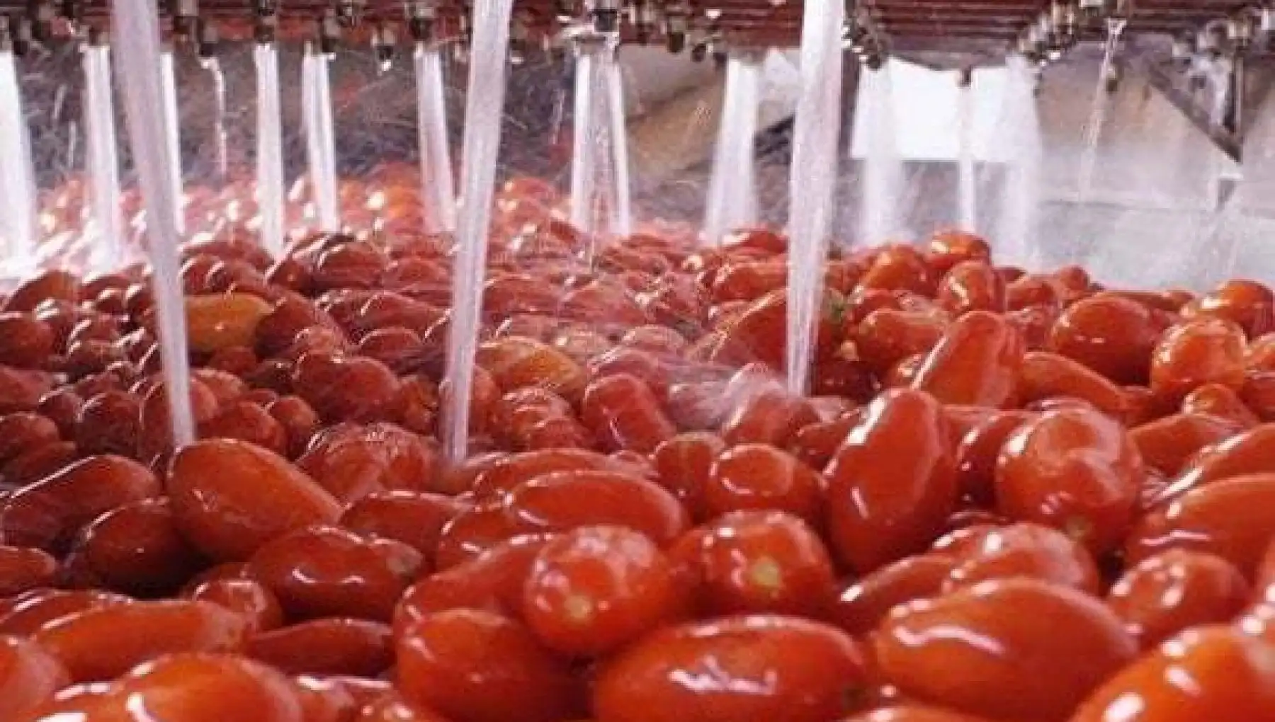 Сделанные в Италии продукты питания томатные соусы двойной концентрат кремы приятно для жизни loke it паста