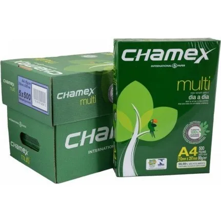 Chamex Copy Paper A4 Size 80 gsm 5 Ream/Box