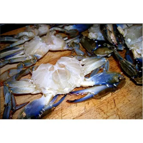 Hot sale Good Price Frozen Blue Swimming cut Crab