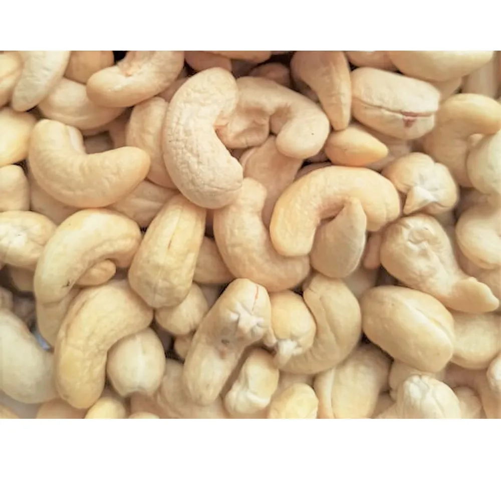 
Export Cashew Nuts W320 From Vietnam High Quality Cashew Nuts W320 W240 Manufacturing Company Vietnam Buy Now Premium Cashew Nut 