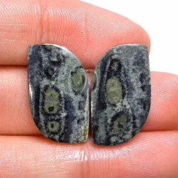 Buy Online 18 Carat Pair Natural Star Galaxy Jasper Free Size Cabochon Wholesale Price