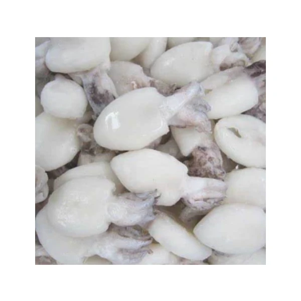 Nutritious Frozen Cuttlefish Whole Round Cleaned for