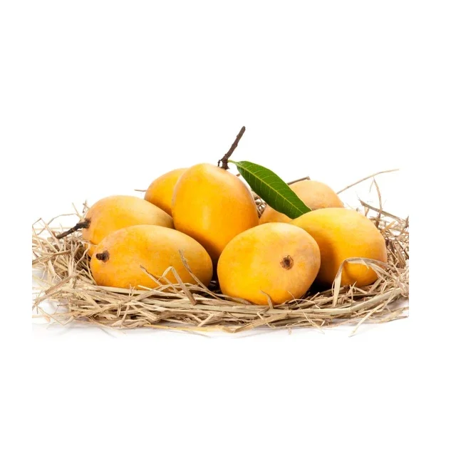 
100% Organic Fresh Hot Selling Pakistan Mangoes In Bulk 