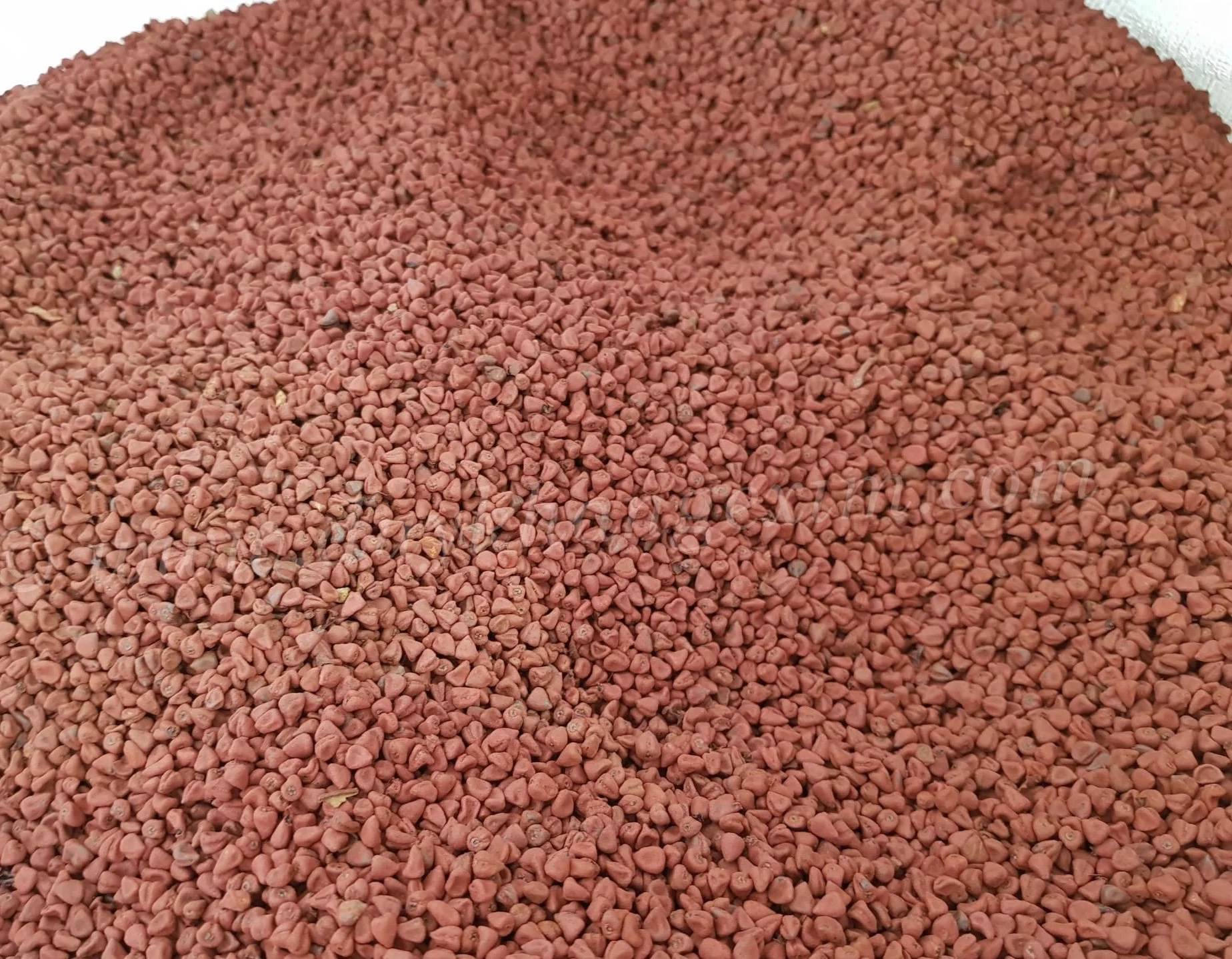 Высокая Пищевая ценность 100% чистый и свежий сырой поставщик семян Аннато/Hana