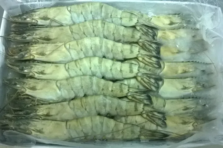 Оптовая продажа замороженных свежих черных тигровых креветок из Вьетнама по лучшей цене