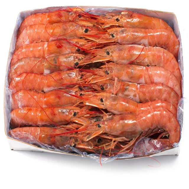 fresh  Frozen chilled Red Argentina Shrimp for sale at wholesale prices