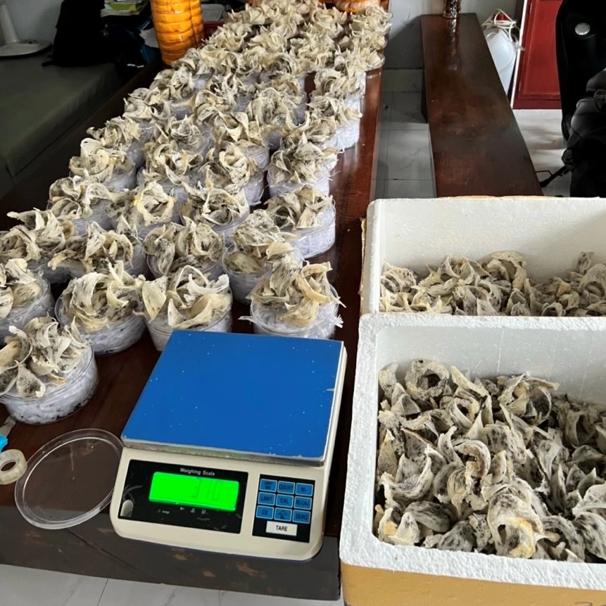 Wholesale OEM Vietnam Raw Bird Nest Type B Medium Size Original Few Spongy Improve Resistance Quite Bright