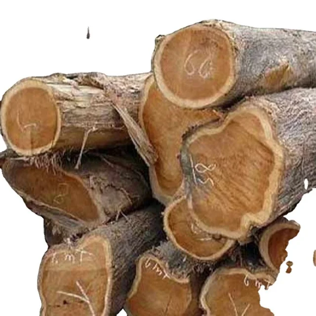 Buy Europe White Oak Bilinga Wood Round Logs For Sale