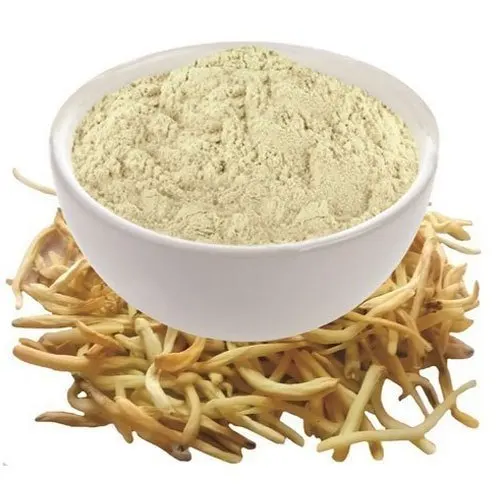 
100% Natural Safed Musli (Asparagus) Extract. Saponins 30% by U.V.. USP, EU Grade. ISO 22000 (UKAS). Whatsapp - 7087480008 