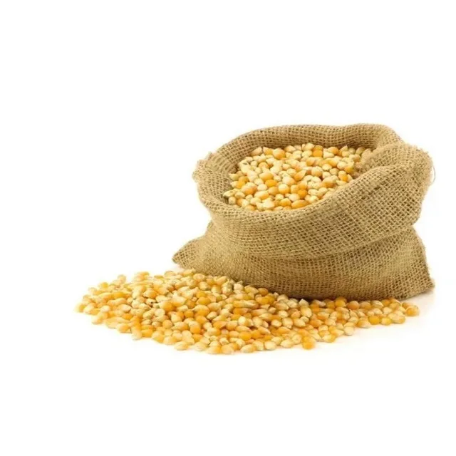 Animal Feed Yellow Corn Grade 1 and 2