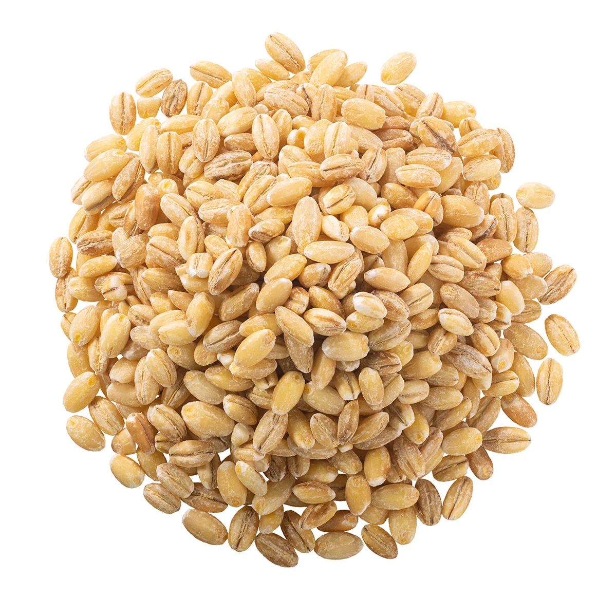 
Wholesale organic barley, cheap prices 