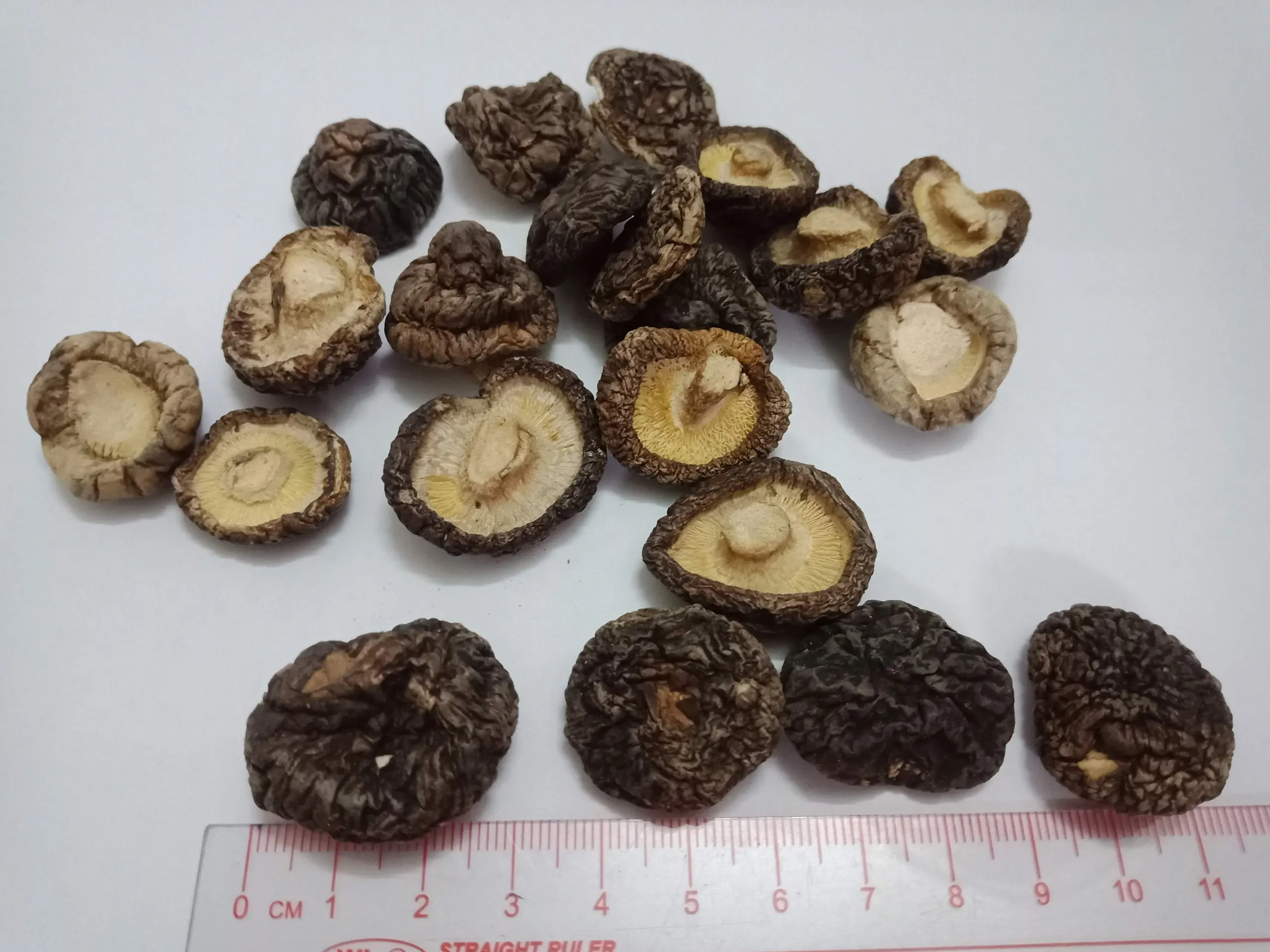 Хит продаж сушеные грибы shiitake свежие shiitake/Hana + 84 901 006 904