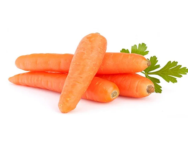 
Supplying fresh Carrot carrots price from Vietnam with top quality _Vikafoods (+84983028718). 