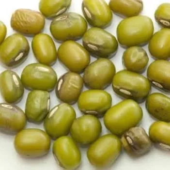 Export Quality Sun Dried Green Gram At Low Prices