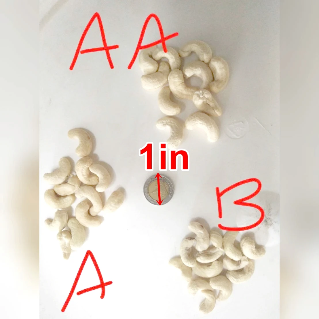 Cashews Nut Raw Whole Cashew Nuts 100% Natural Best Quality Export Grade AA Wholesale Premium Product Of Thailand