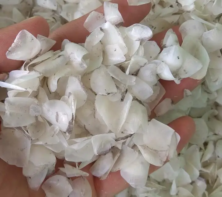 High Quality Dried Fish Scales-Tilapia Fish Scales-Sea Bass Fish Scales-Snakehead Fish Scales//Shyn Tran +84382089109