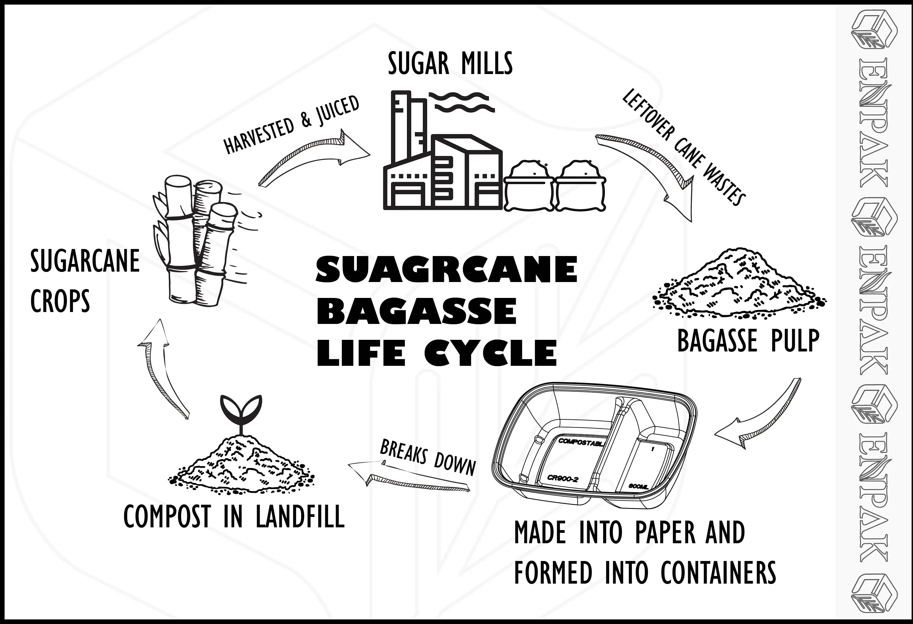 disposable paper bagasse sushi tray