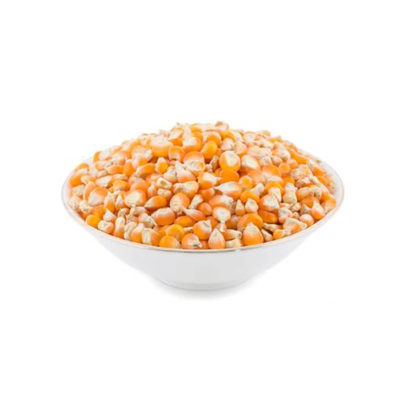 Frozen sweet corn kernels / Frozen corn on the cob / Frozen white corn