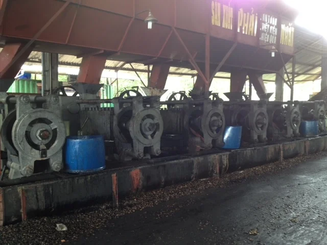 CASHEW NUT SHELL EXTRACTION (CNSE)