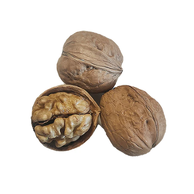 
Raw Dried Wholesale Shell Walnuts Kernels Good Quality 