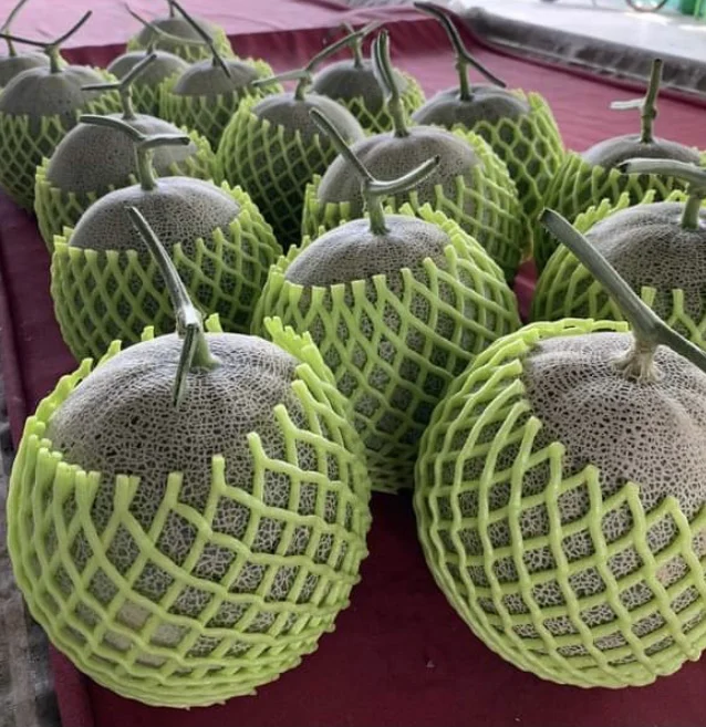 EWC Farrmer From Thailand Tropical Fruit Fresh Melon Orange Meat OML001 Sweet Taste